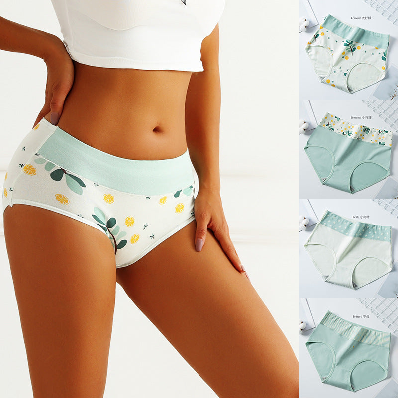 Set of 4 Womens Plants Print High Waist Cotton Underpants